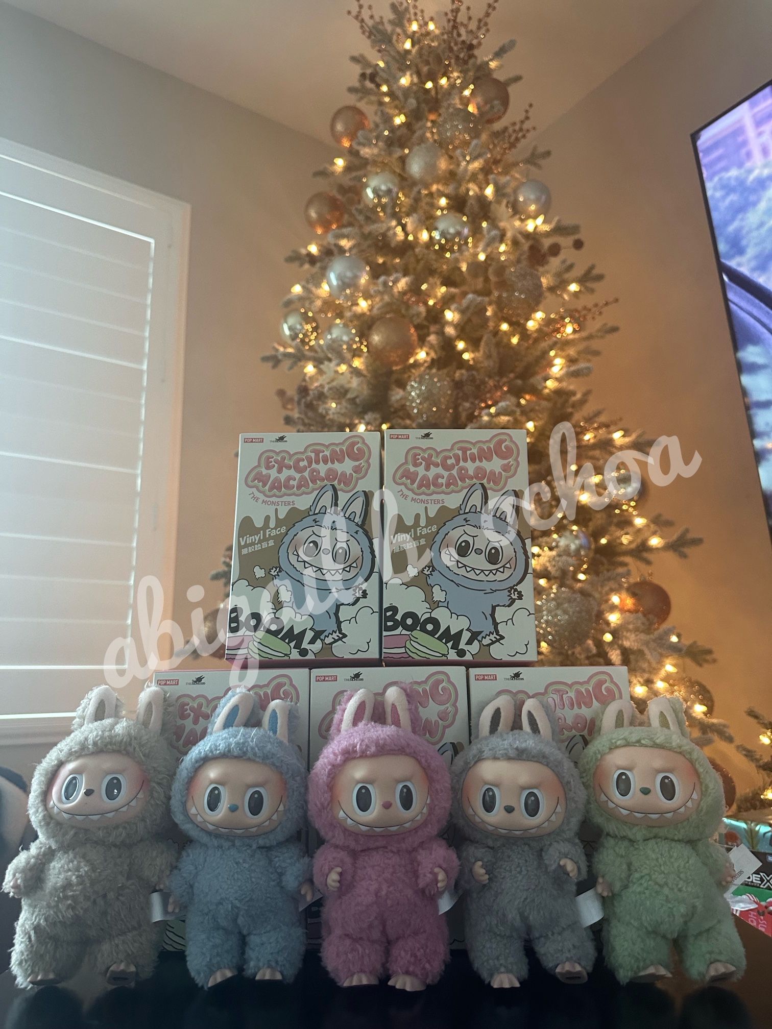 Labubu Exciting Macarons