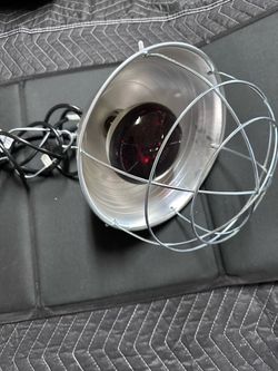 Clamp-on Heat lamp w/bulb (10$)