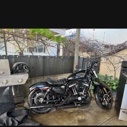 2018 Sportster