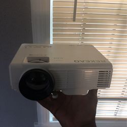 Indoor/outdoor Projector
