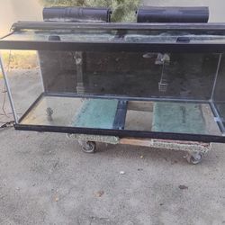 75 Gallon Aquarium With Stand 