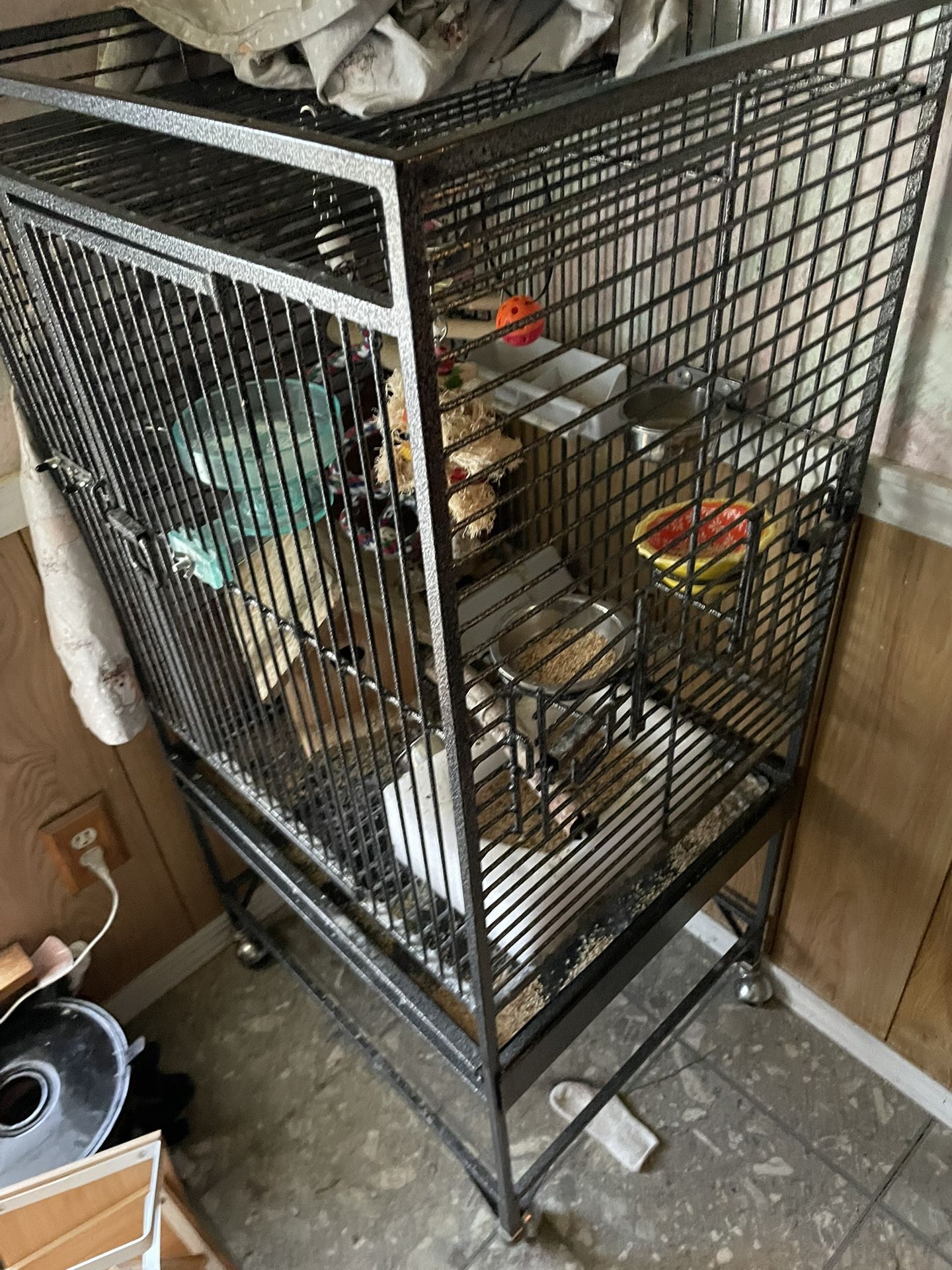 Bird Cage