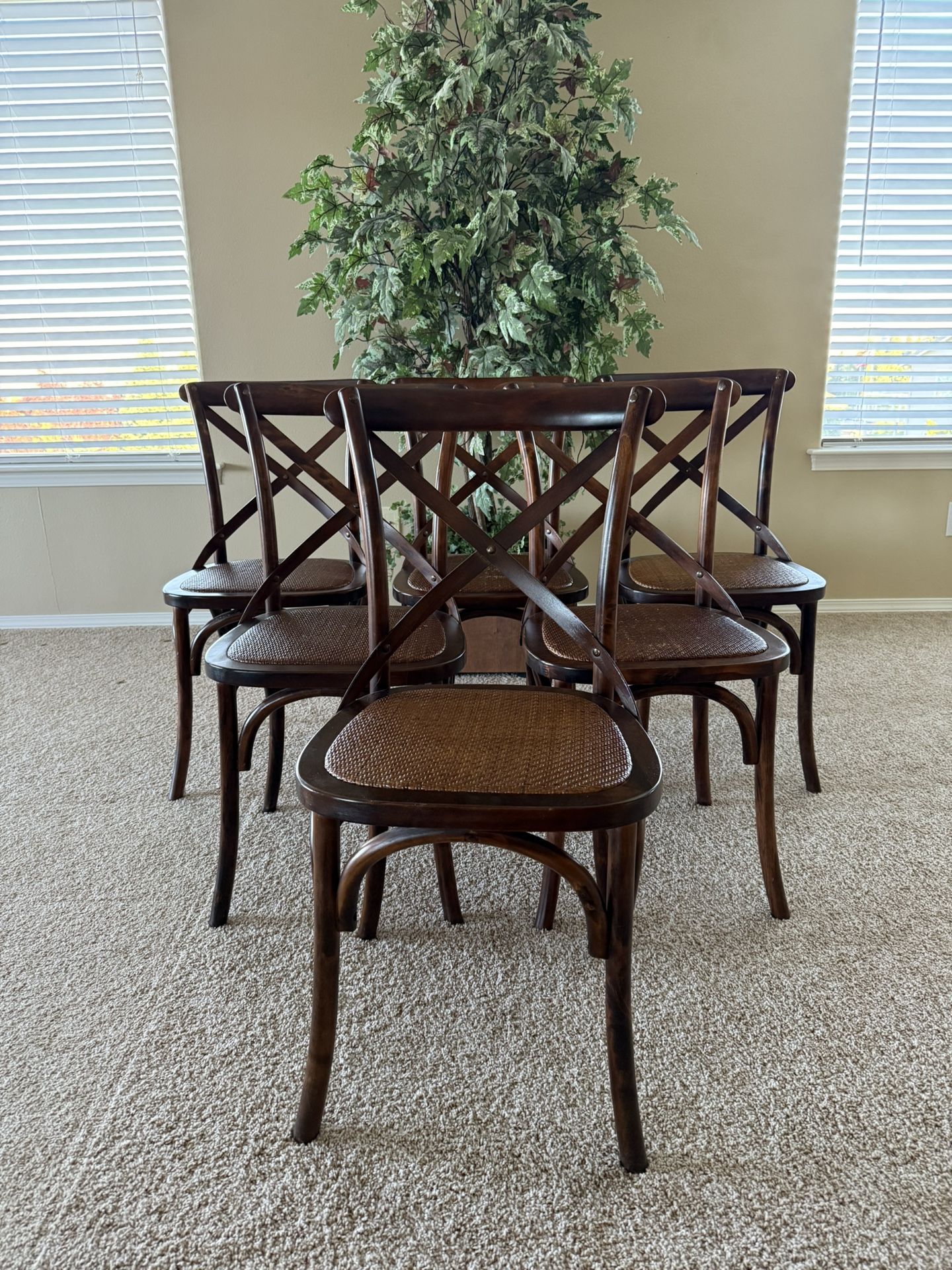 Dining Chairs