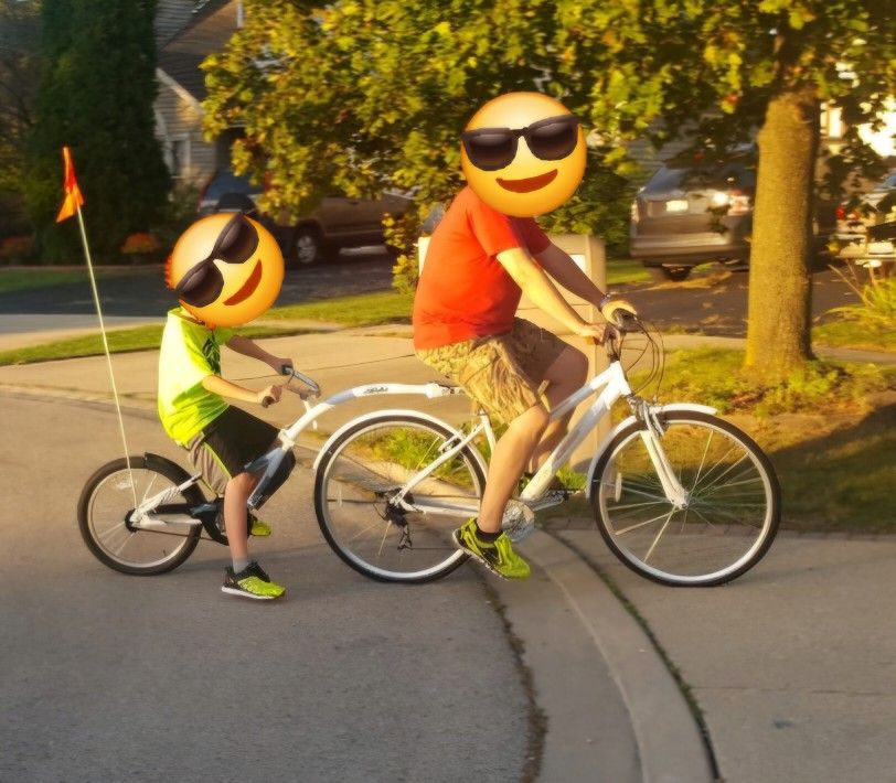 Weeride CoPilot Trail-a-Bike 20" Kids Bike Attachment PullAlong