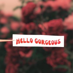 Hello Gorgeous Car Mirror Decal| Hello Gorgeous Sticker| Self Love Sticker| Daily Affirmations Sticker| Mirror Decals 