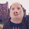 John Pork