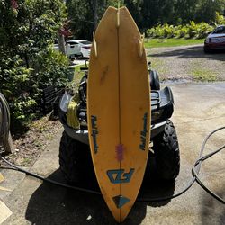 Taylor Santa Cruz surfboard 7'0"