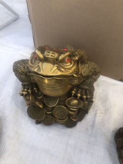 copper toad