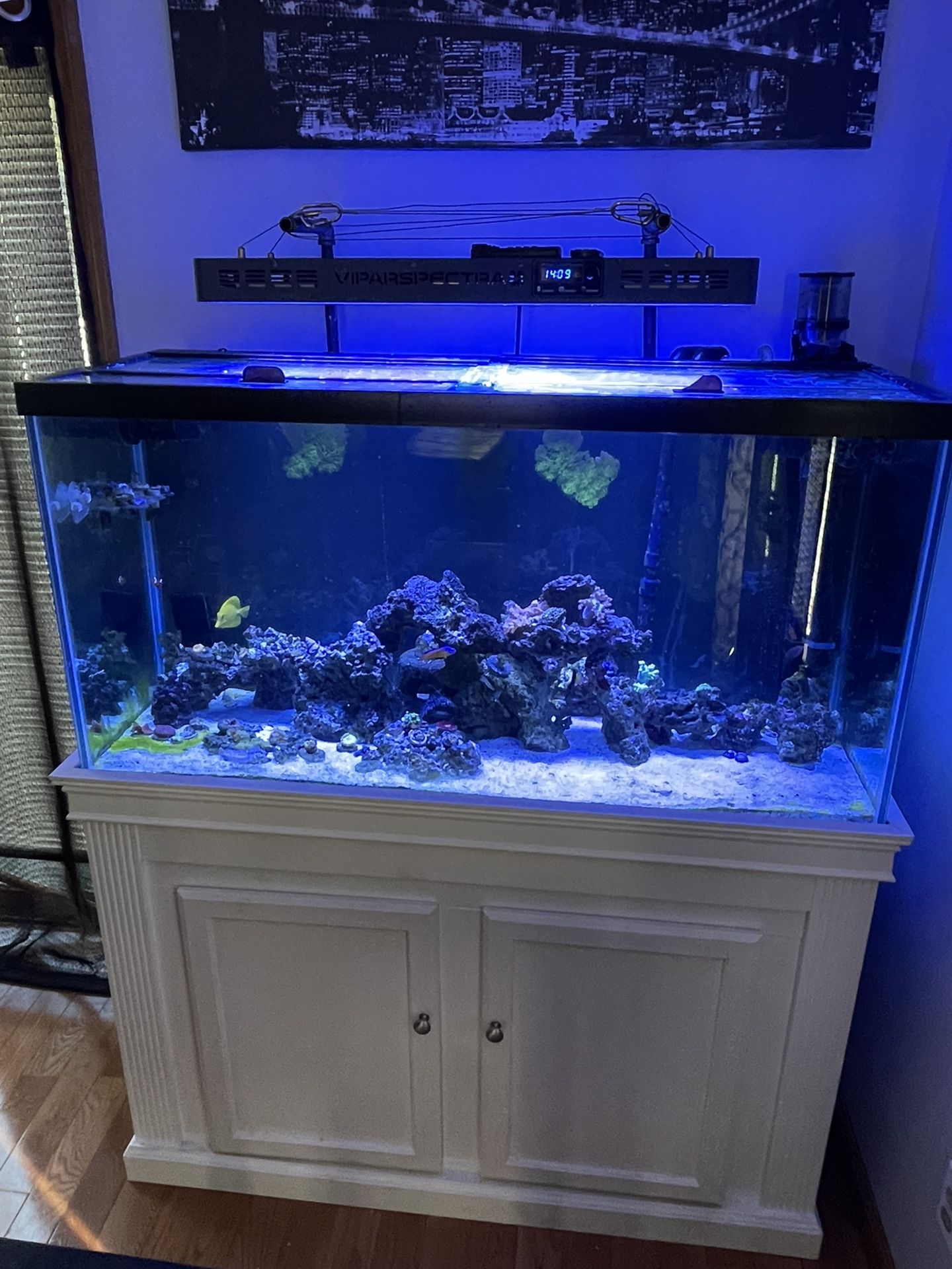 90 Gallon Reef tank W/ Everything