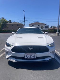 2019 Ford Mustang