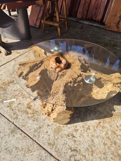 Root table coffe table size