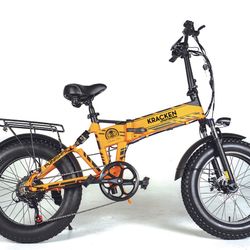 Electric Bicycle (E Bike) 
