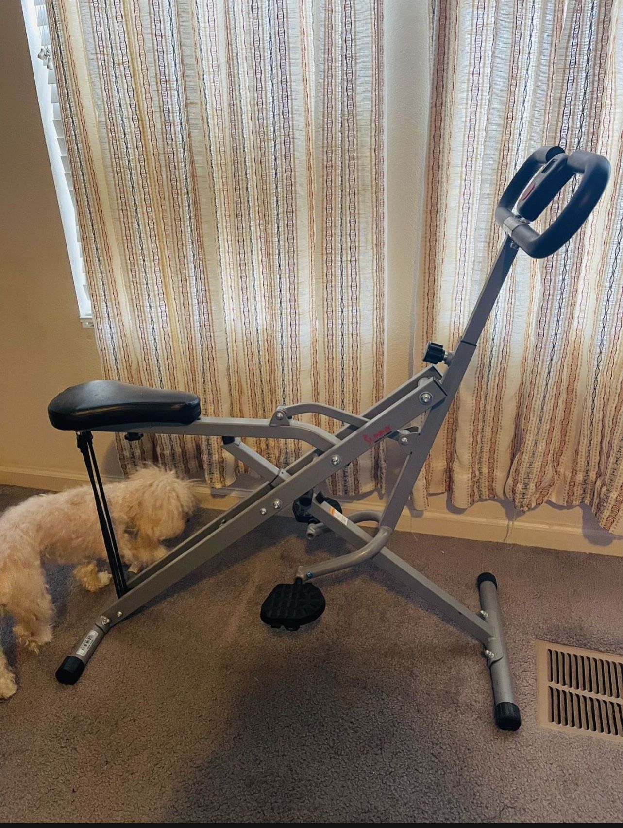 Sunny Health & Fitness Upright Row-N-Ride™ Exerciser in