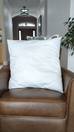 Pottery Barn 24 Inch Square Pillow Insert