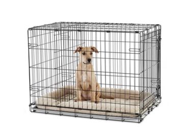 Dog Crate for small dogs