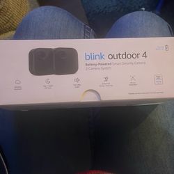 Outside Blink Camera System 2 Cameras