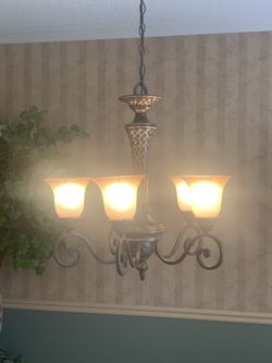 Beautiful Bronze Light Fixture