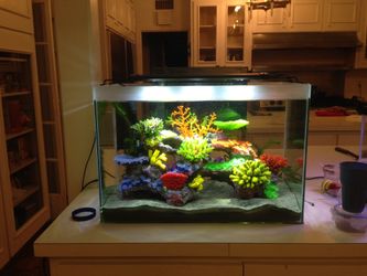 Frameless Fish Tank With Stand