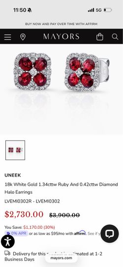 Earrings