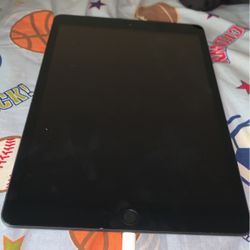 iPad 