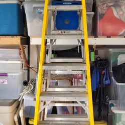 Ladder 8ft Fiberglass