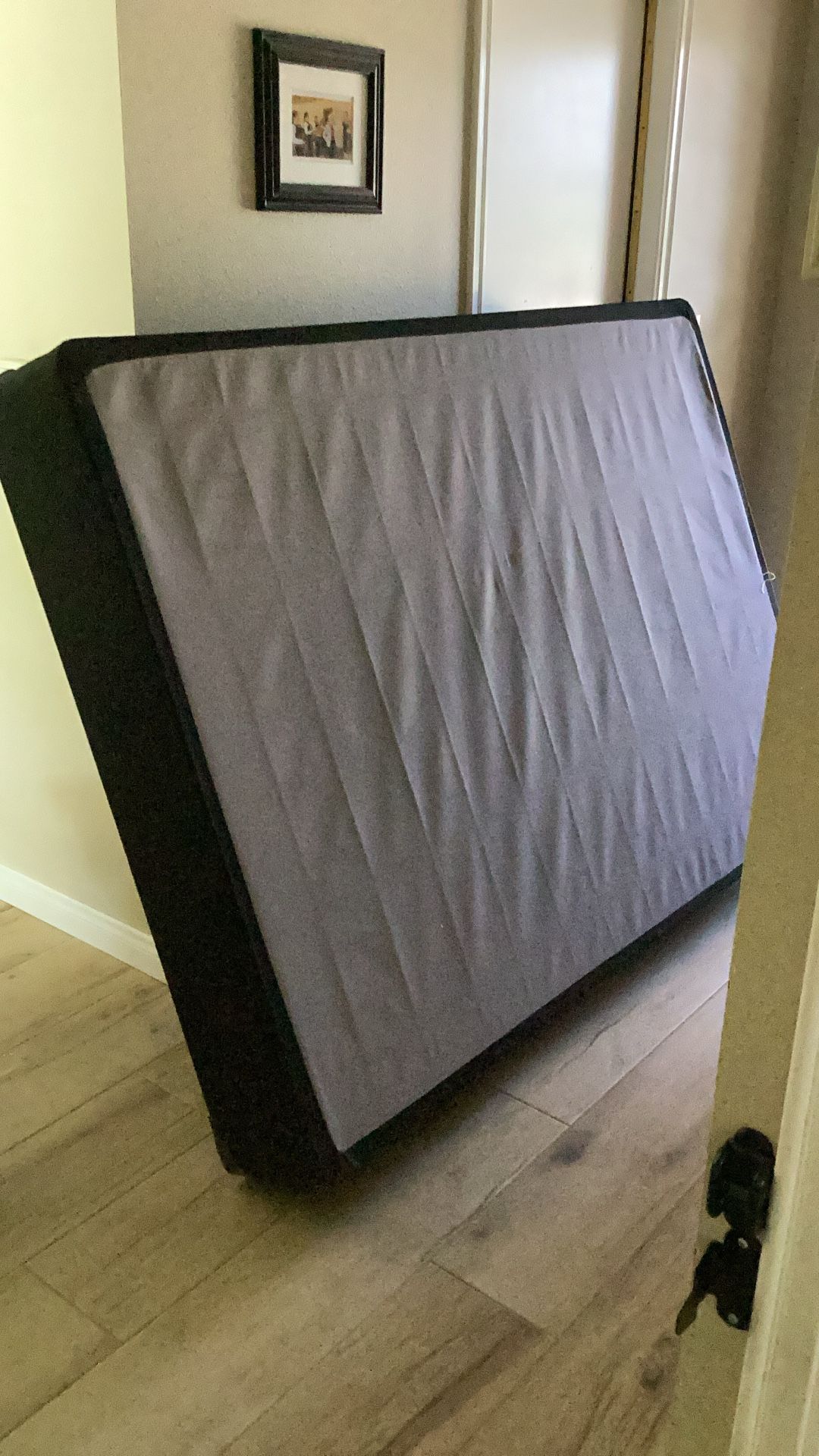 Free Double Box Spring