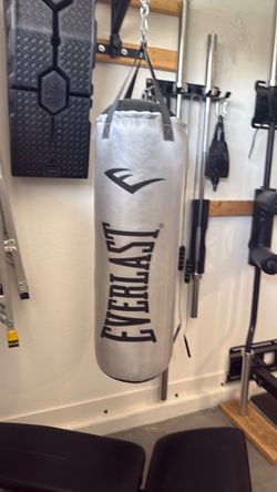 Everlast punching bag