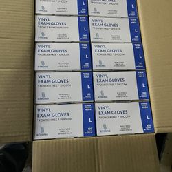 Vinyl Gloves 