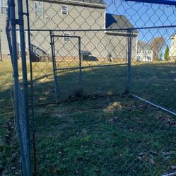 Dog Kennel 