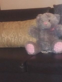 Teddy Bear Back Pack.