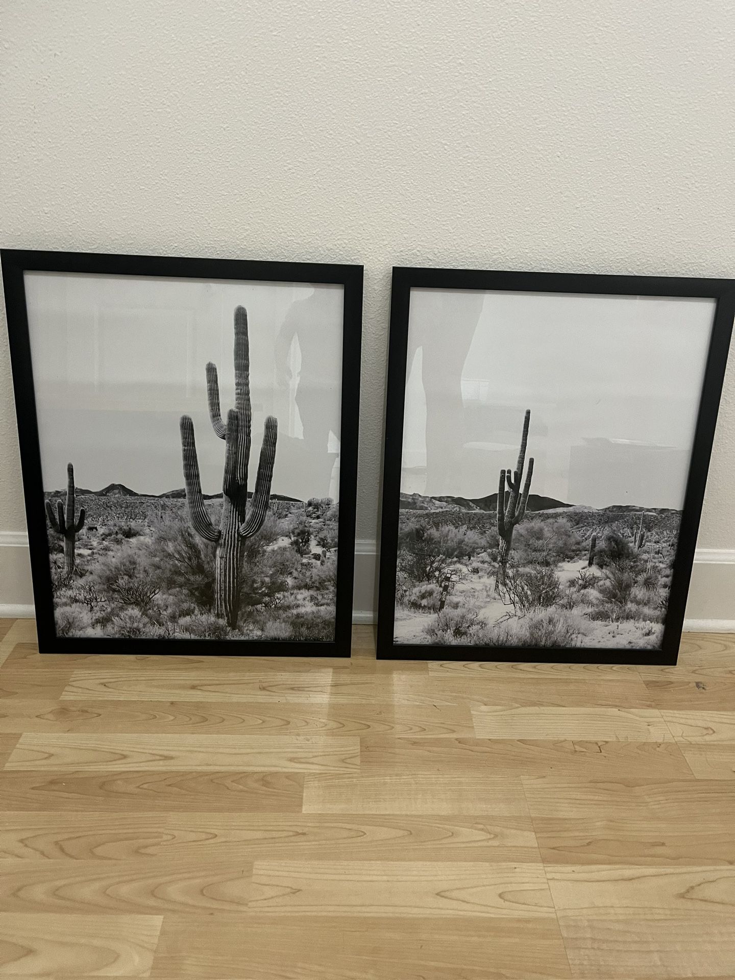Cactus Art 16x20 Frames