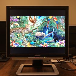 Viewsonic OptiSync VX910 19” LCD Monitor 
