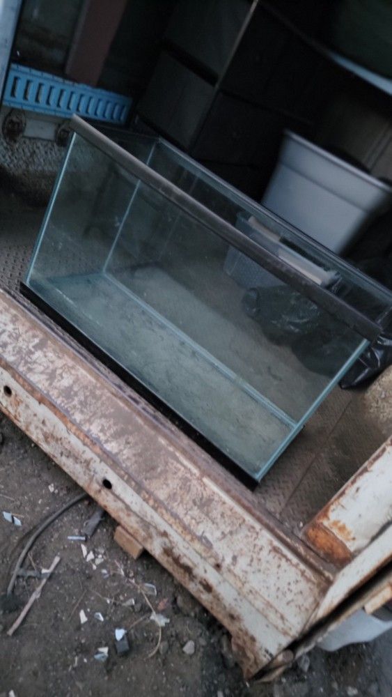 Reptile Or Fish Aquarium