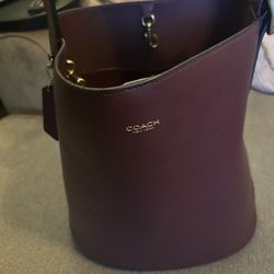 Coach bucket bag
