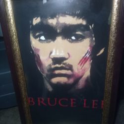 Bruce Lee Picture 