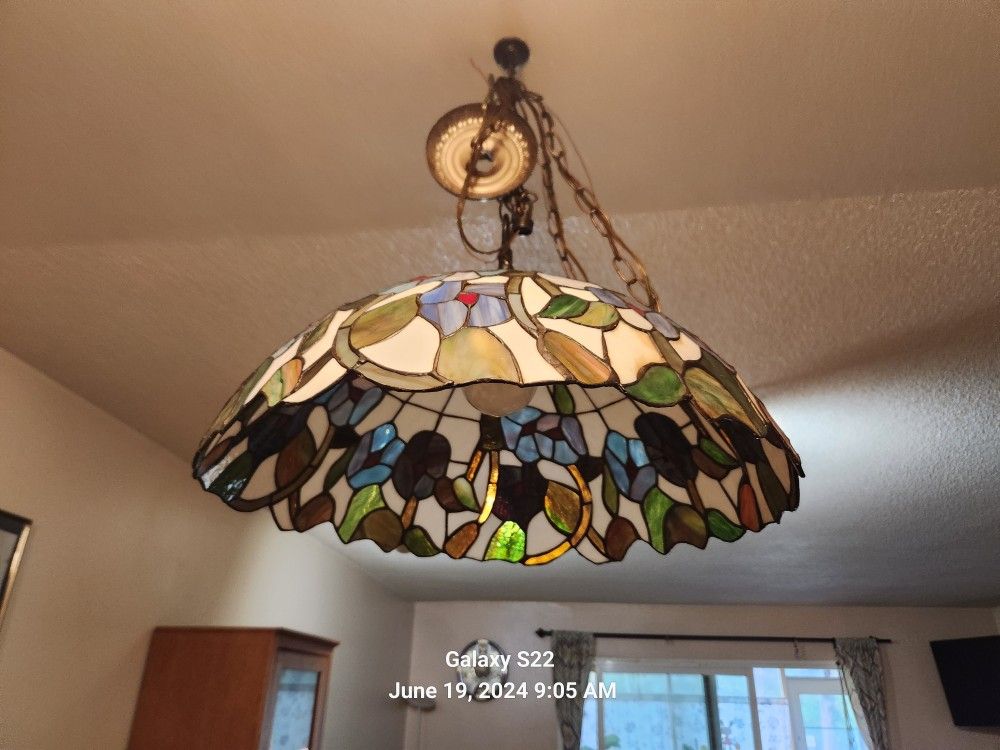 Plastic Swag Lamp with Cover and Chain.