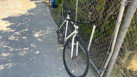 White 29 fixie