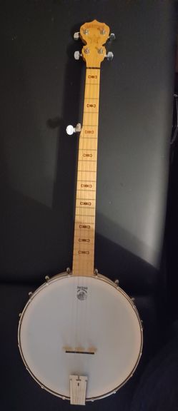 Deering goodtime 2 open back banjo