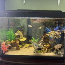 Fish Tank/ Led Lighting Lid/ Accessories 