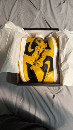 Air Jordan 1 High Retro Pollen