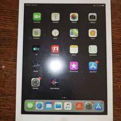 Ipad Air 1 White Silver
