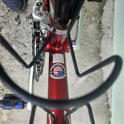 Trek Junior Road Bike