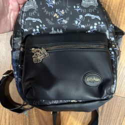 Her verse Harry Potter Owls Hogwarts Castle Wizards Black Floral