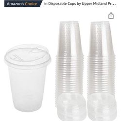 100 Compostable Biodegradable 16oz Cups 