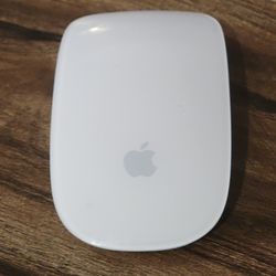 Apple Multi-touch Magic Mouse