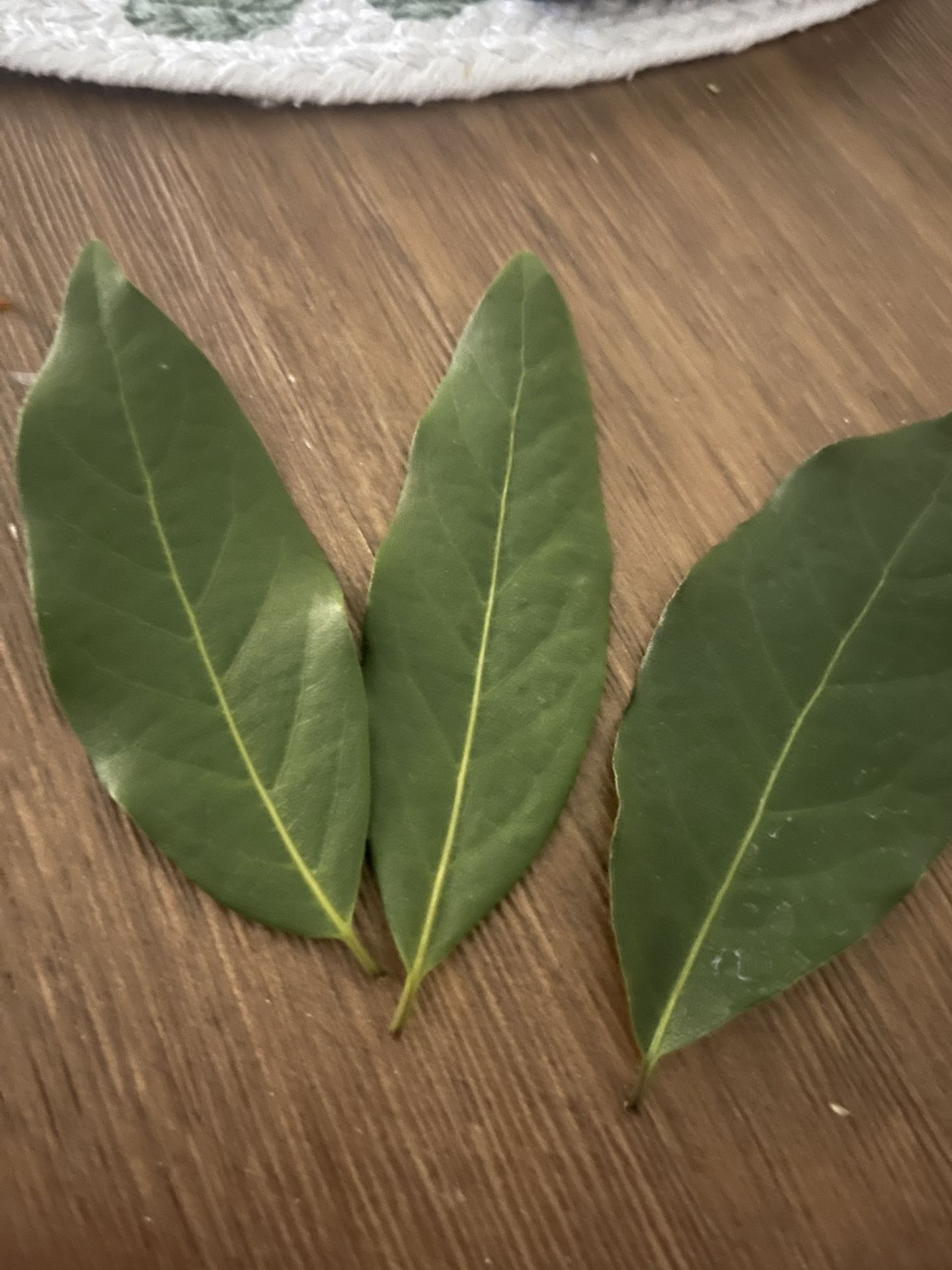 Bayleaf Fresh Picked