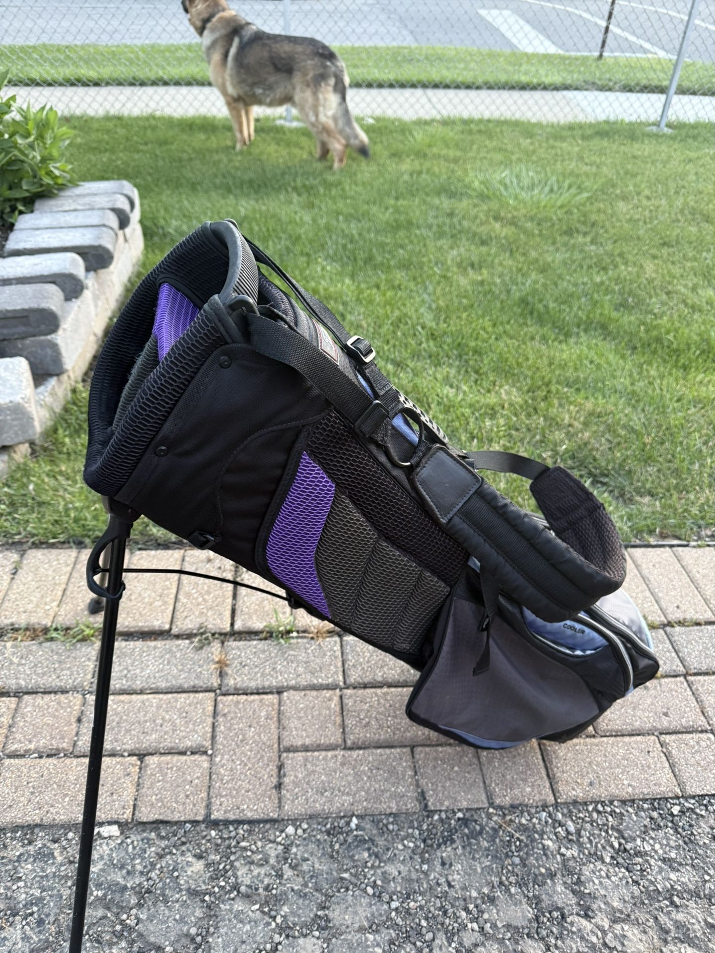 Titleist Purple/grey/black Golf Bag