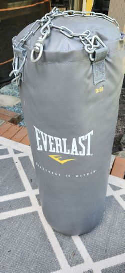 Everlast heavy bag - Free
