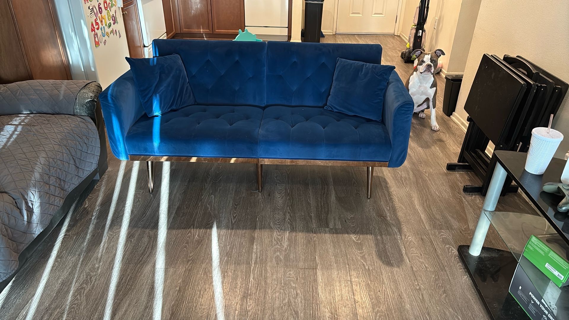 Bed Couch