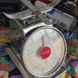 Old School Taylor Mechanical Scale